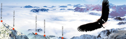 特殊封閉型異氰酸酯環(huán)氧增韌劑在地面涂料中的應(yīng)用